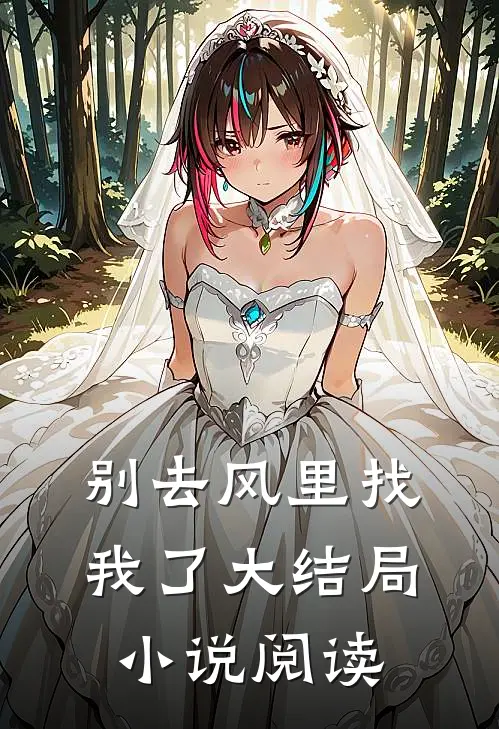 别去风里找我了大结局小说阅读