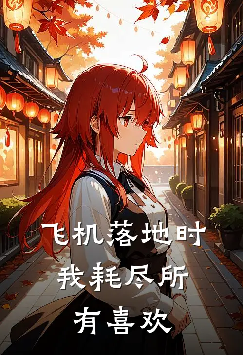 飞机落地时，我耗尽所有喜欢