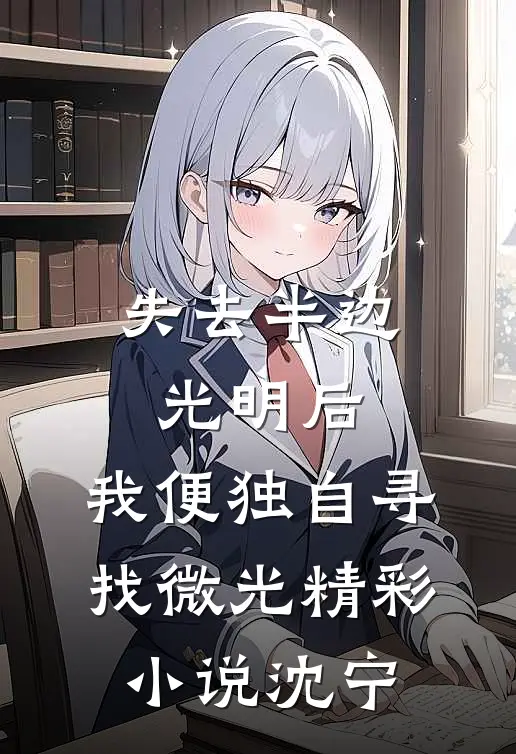 失去半边光明后，我便独自寻找微光精彩小说沈宁