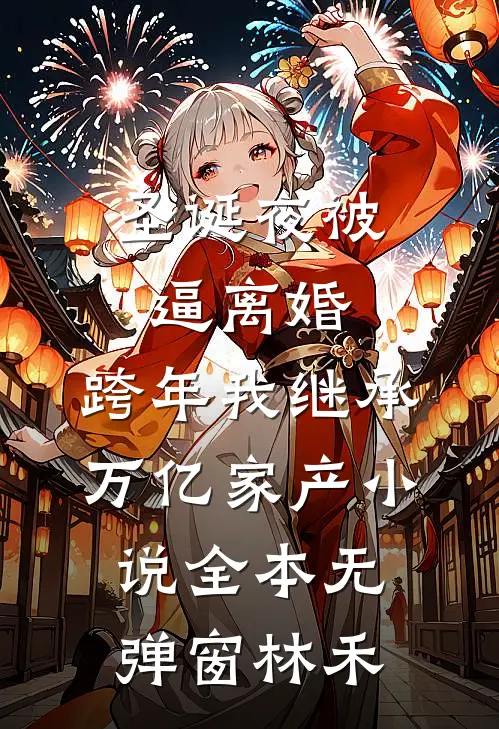 圣诞夜被逼离婚，跨年我继承万亿家产小说全本无弹窗林禾