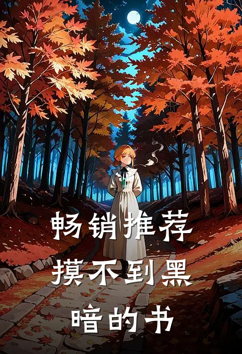 畅销推荐摸不到黑暗的书