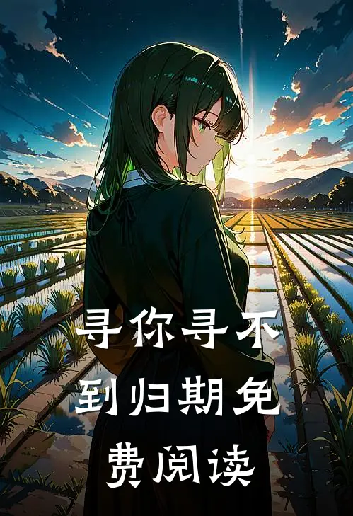 寻你寻不到归期免费阅读