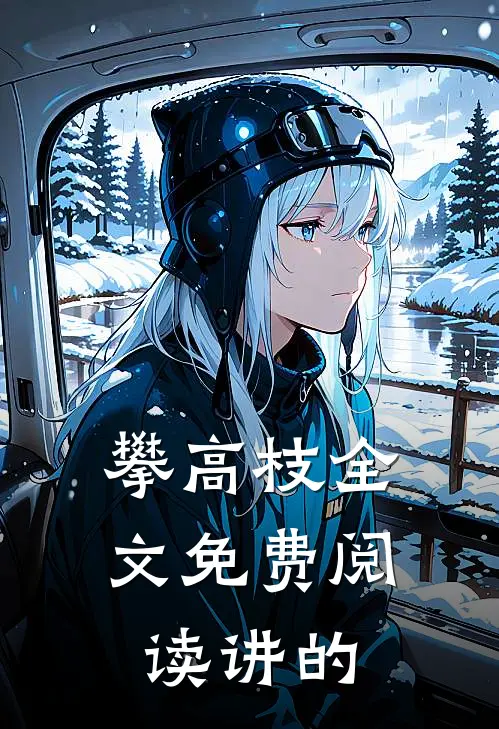 攀高枝全文免费阅读讲的