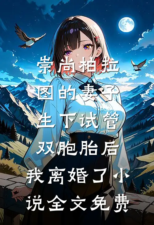 崇尚柏拉图的妻子生下试管双胞胎后，我离婚了小说全文免费