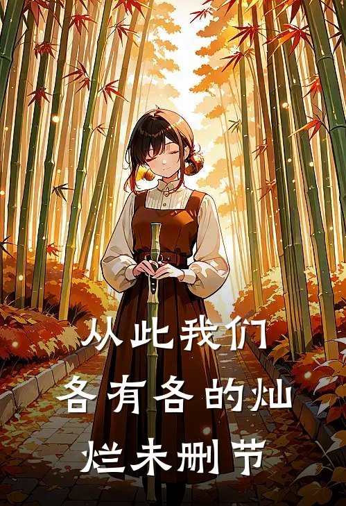 从此我们，各有各的灿烂未删节