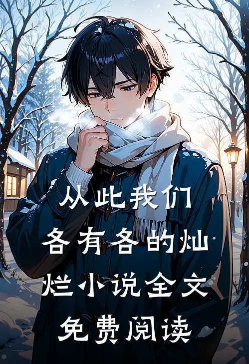 从此我们，各有各的灿烂小说全文免费阅读