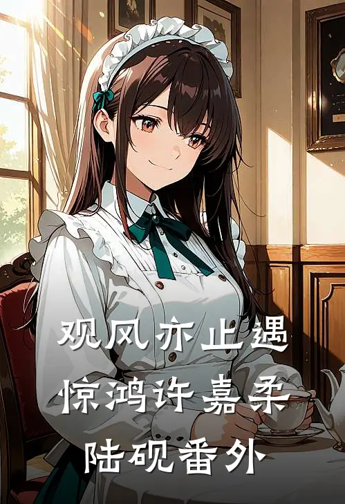 观风亦止遇惊鸿许嘉柔陆砚番外