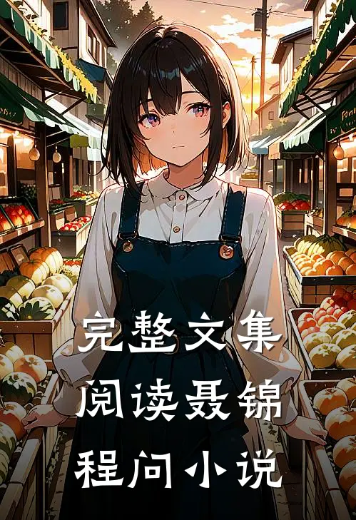 完整文集阅读聂锦程问小说