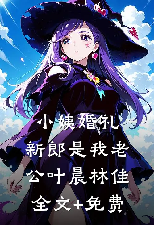 小姨婚礼，新郎是我老公叶晨林佳全文+免费
