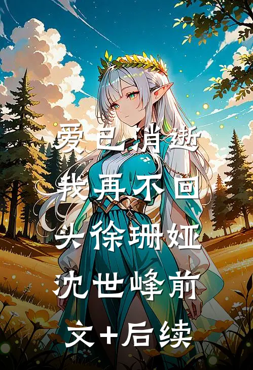 爱已消逝，我再不回头徐珊娅沈世峰前文+后续