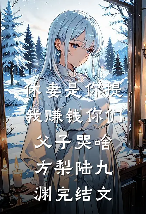 休妻是你提，我赚钱你们父子哭啥方梨陆九渊完结文