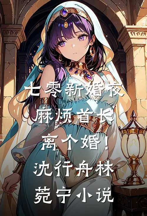 七零新婚夜，麻烦首长离个婚！沈行舟林菀宁小说