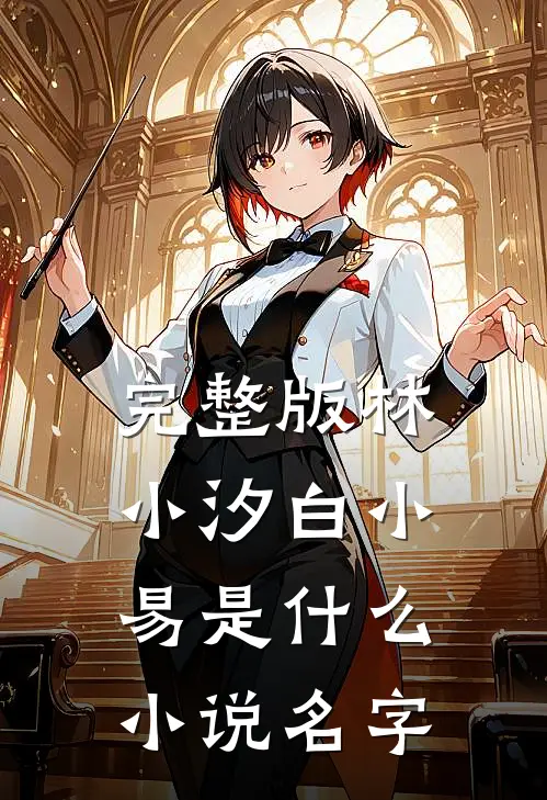 完整版林小汐白小易是什么小说名字