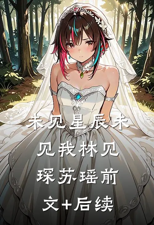 未见星辰未见我林见琛苏瑶前文+后续