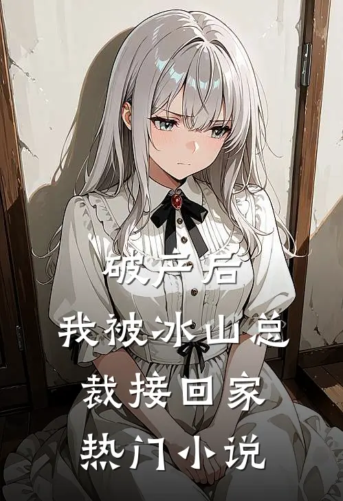 破产后，我被冰山总裁接回家热门小说