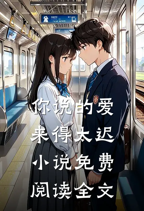 你说的爱，来得太迟小说免费阅读全文