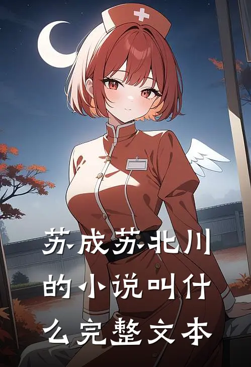 苏成苏北川的小说叫什么完整文本