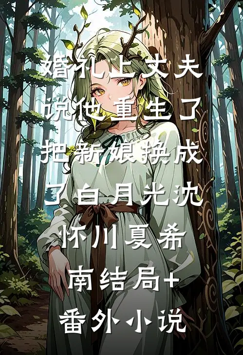 婚礼上丈夫说他重生了，把新娘换成了白月光沈怀川夏希南结局+番外小说