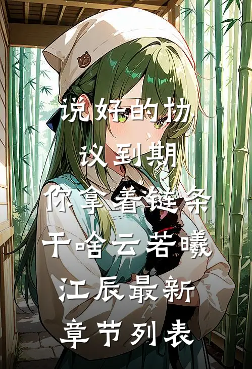 说好的协议到期，你拿着链条干啥云若曦江辰最新章节列表