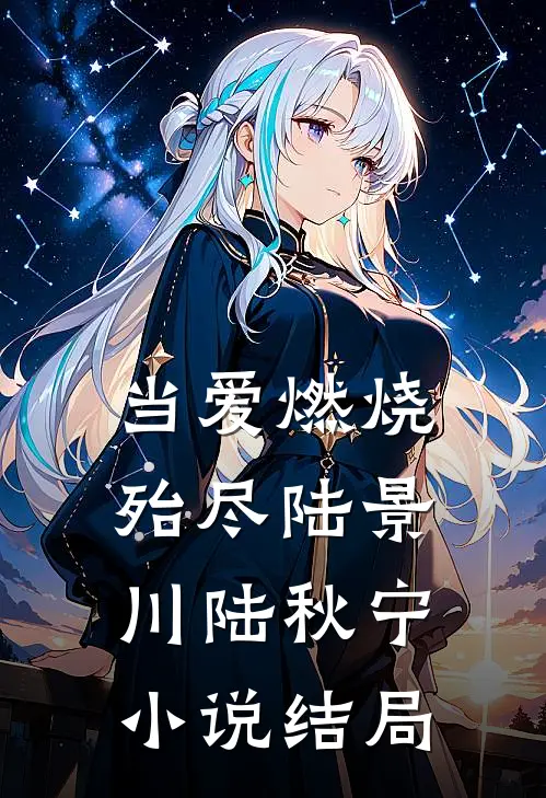 当爱燃烧殆尽陆景川陆秋宁小说结局