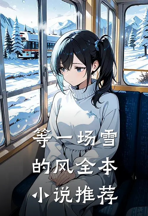等一场雪的风全本小说推荐