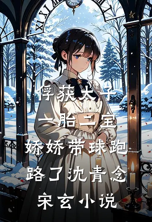 俘获太子一胎二宝，娇娇带球跑路了沈青念宋玄小说