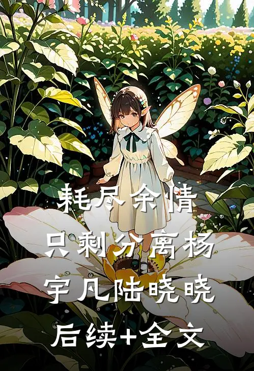 耗尽余情，只剩分离杨宇凡陆晓晓后续+全文