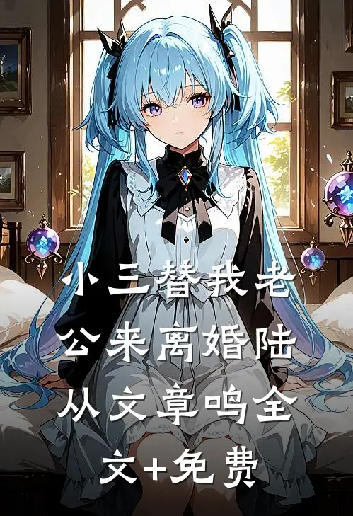 小三替我老公来离婚陆从文章鸣全文+免费