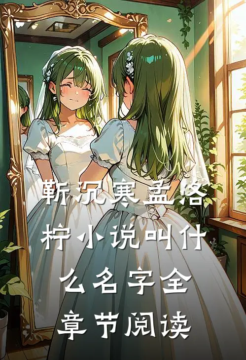 靳沉寒孟洛柠小说叫什么名字全章节阅读
