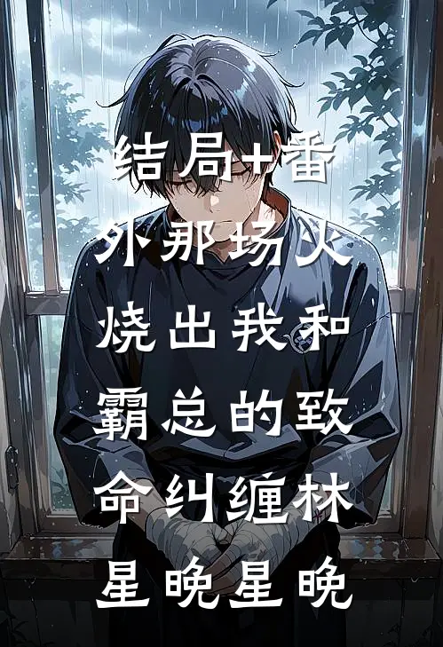 结局+番外那场火，烧出我和霸总的致命纠缠林星晚星晚