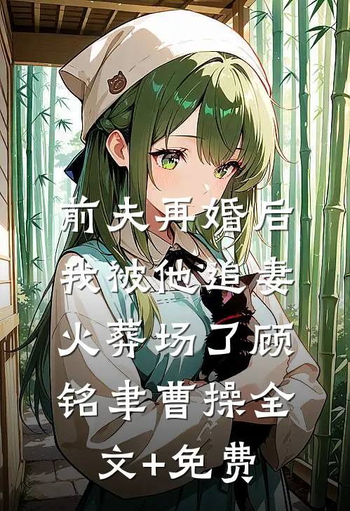 前夫再婚后，我被他追妻火葬场了顾铭聿曹操全文+免费