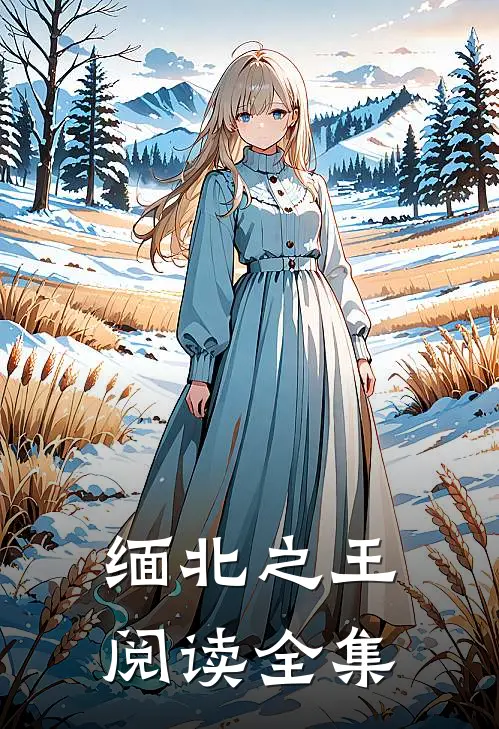 缅北之王阅读全集