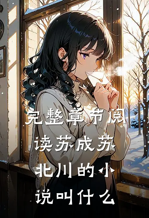 完整章节阅读苏成苏北川的小说叫什么