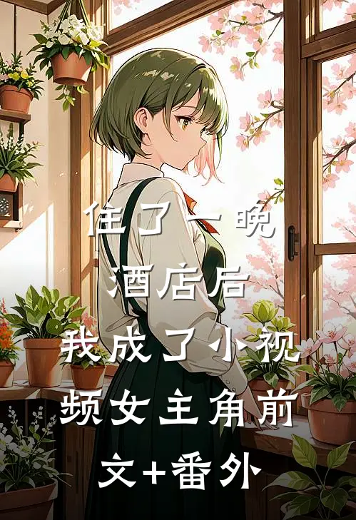 住了一晚酒店后，我成了小视频女主角前文+番外