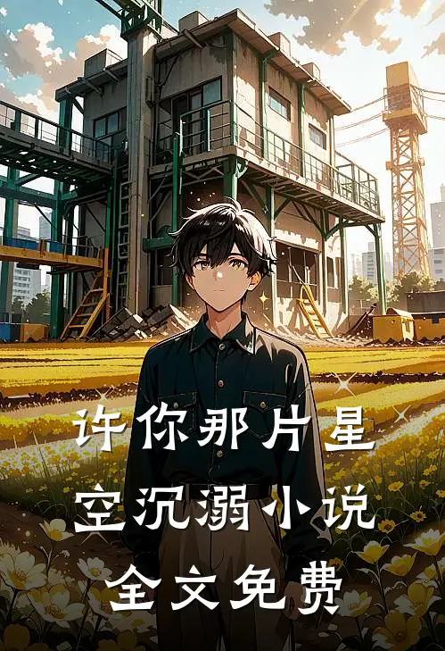 许你那片星空沉溺小说全文免费
