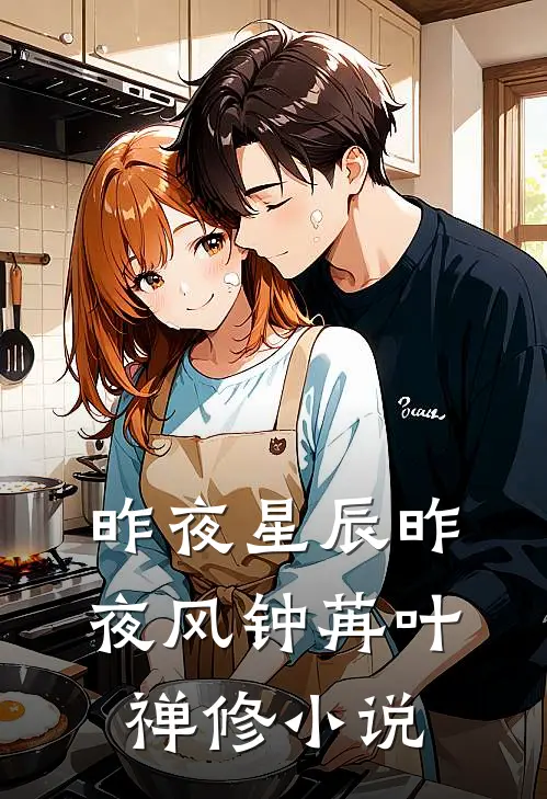 昨夜星辰昨夜风钟苒叶禅修小说