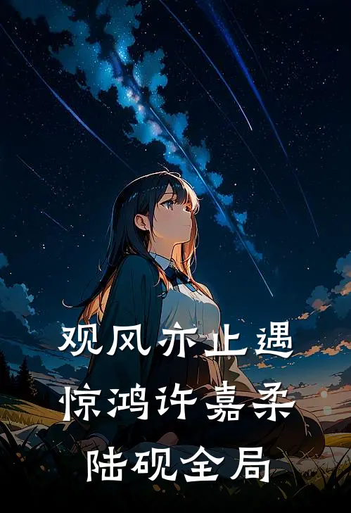 观风亦止遇惊鸿许嘉柔陆砚全局