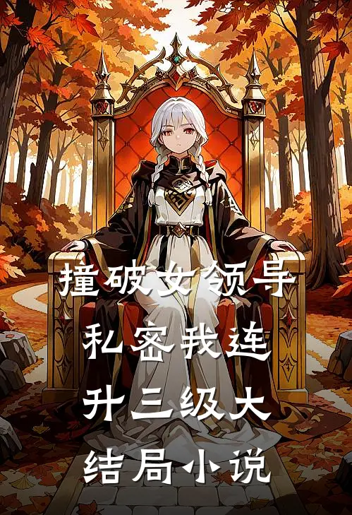撞破女领导私密我连升三级大结局小说