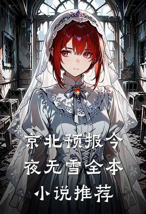 京北预报今夜无雪全本小说推荐