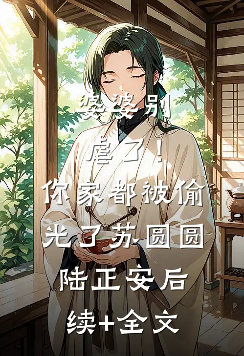 婆婆别虐了！你家都被偷光了苏圆圆陆正安后续+全文