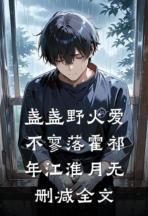 盏盏野火爱不寥落霍祁年江淮月无删减全文