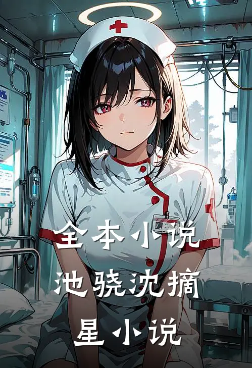 全本小说池骁沈摘星小说