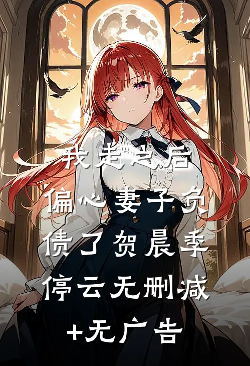 我走之后，偏心妻子负债了贺晨季停云无删减+无广告