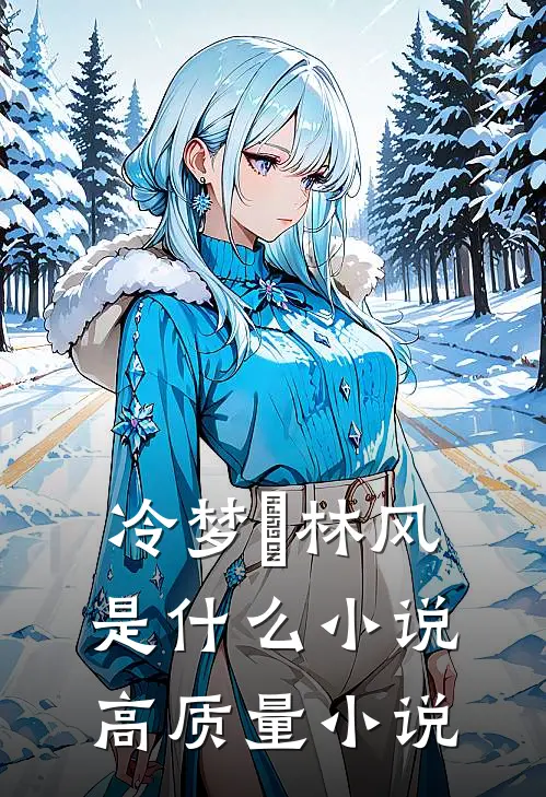 冷梦娢林风是什么小说高质量小说
