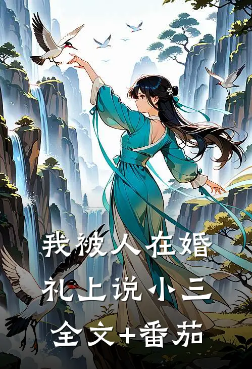 我被人在婚礼上说小三全文+番茄