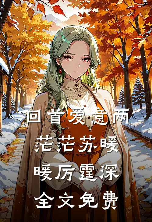 回首爱意两茫茫苏暖暖厉霆深全文免费