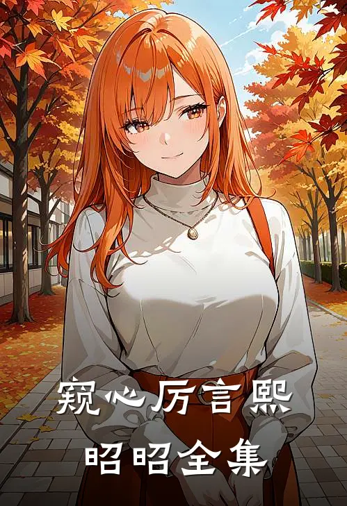 窥心厉言熙昭昭全集