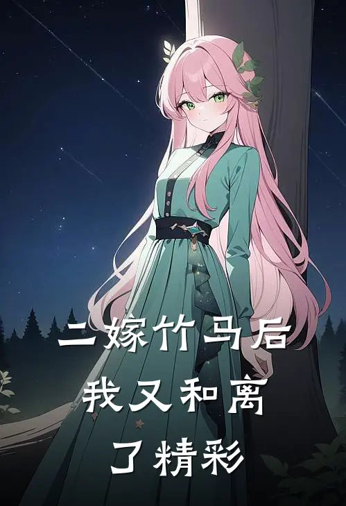 二嫁竹马后，我又和离了精彩