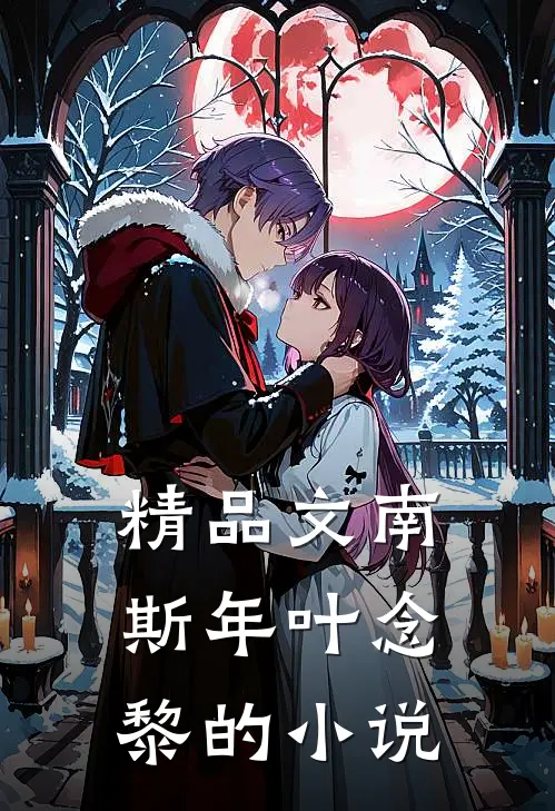 精品文南斯年叶念黎的小说