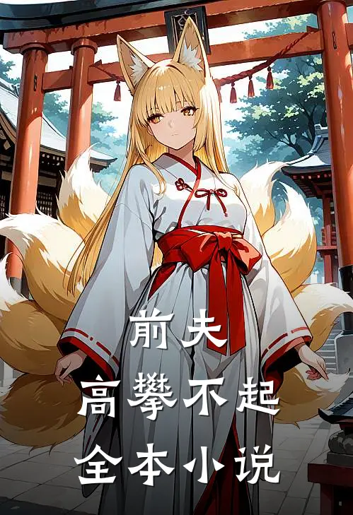 前夫，高攀不起全本小说